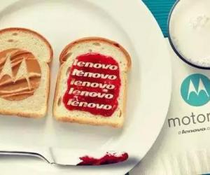 Motoȫ�߻ع� �����ƶ��������ϻ�Ҫ��ʲô